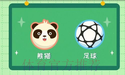 《熊猫说球》第三集:球和球场 《熊猫说球》第三集:球和球场